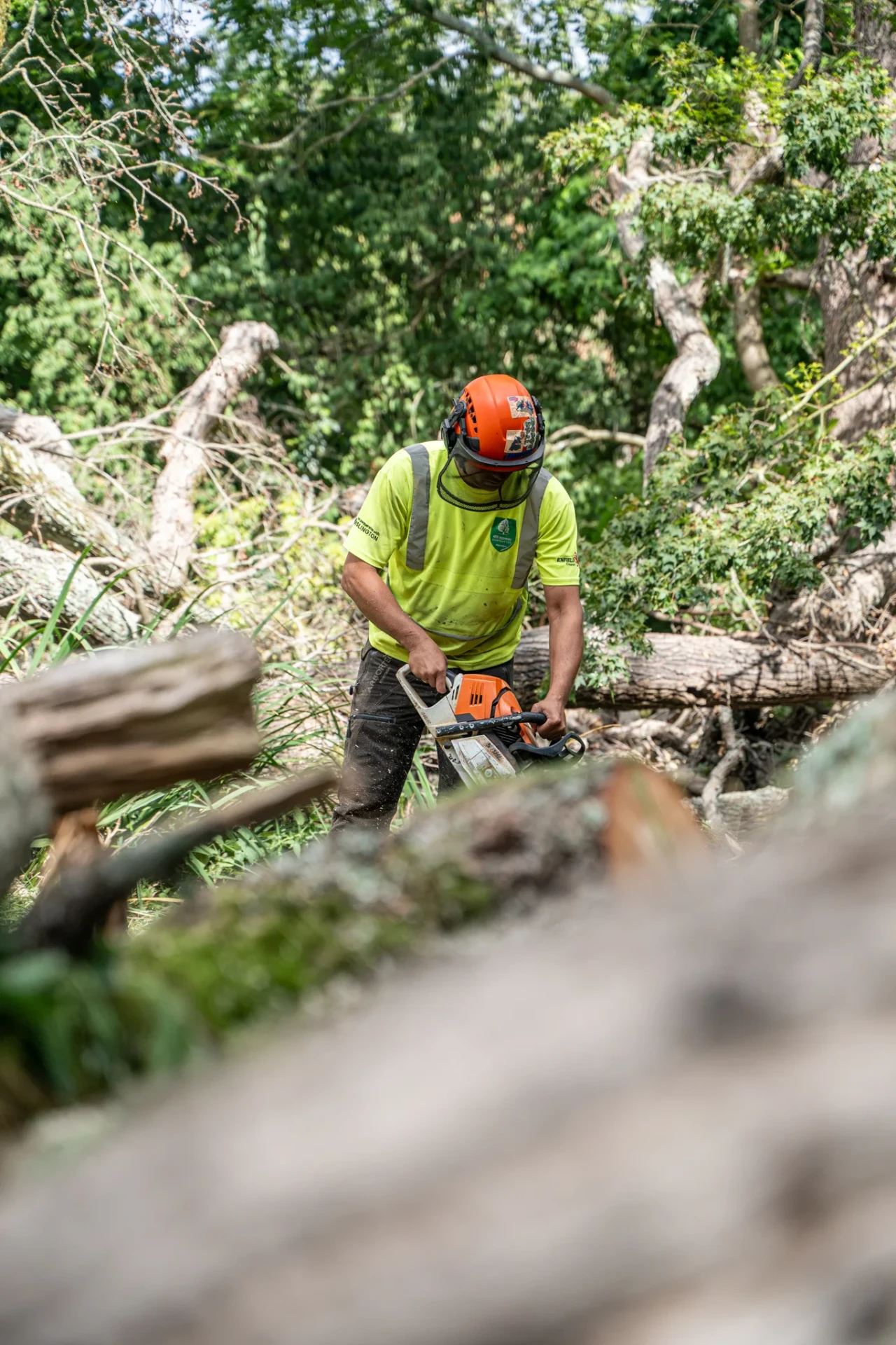 Tree Surgery