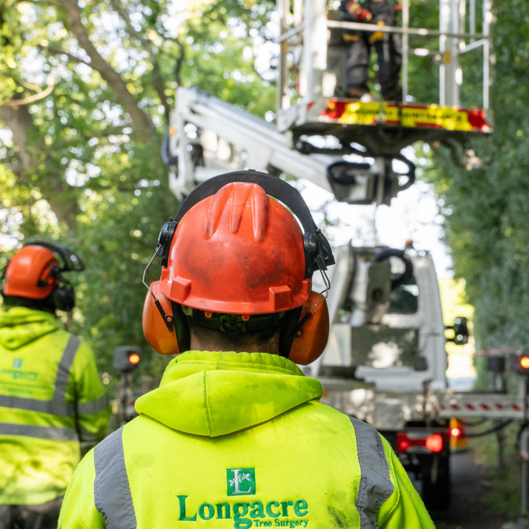 Care for trees