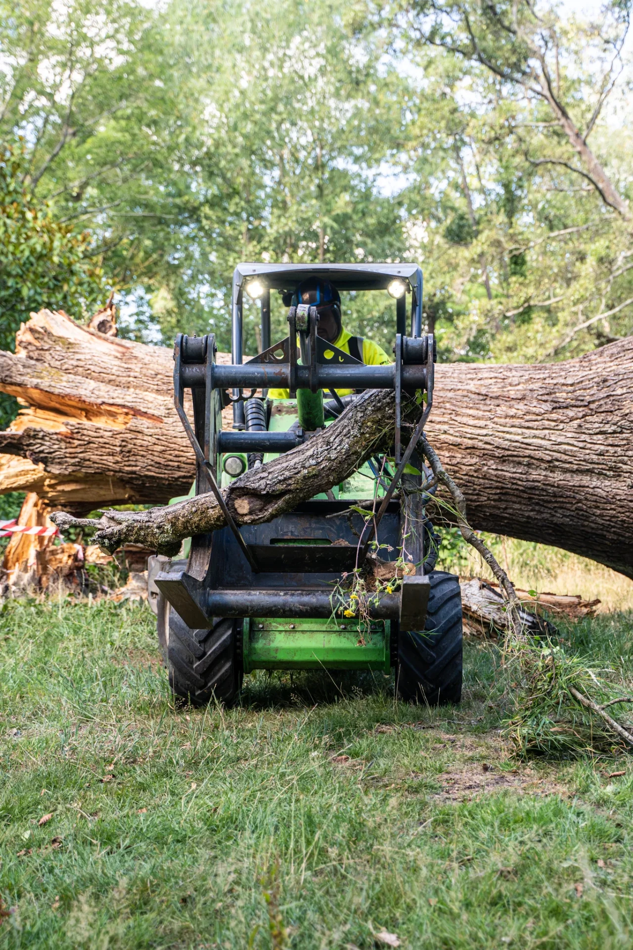Commercial Tree Safety Works