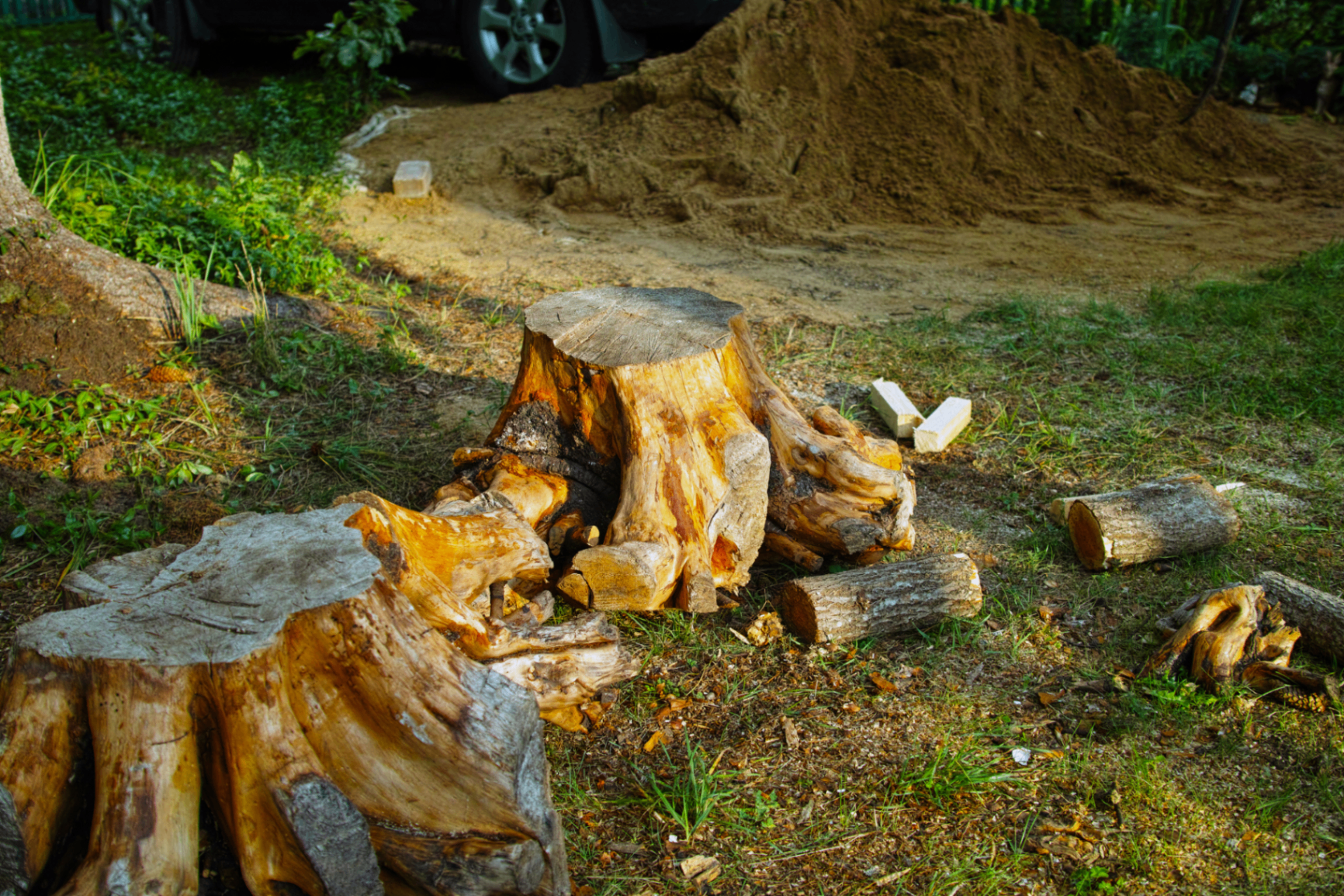 Stump Grinding & Garden Reclaim