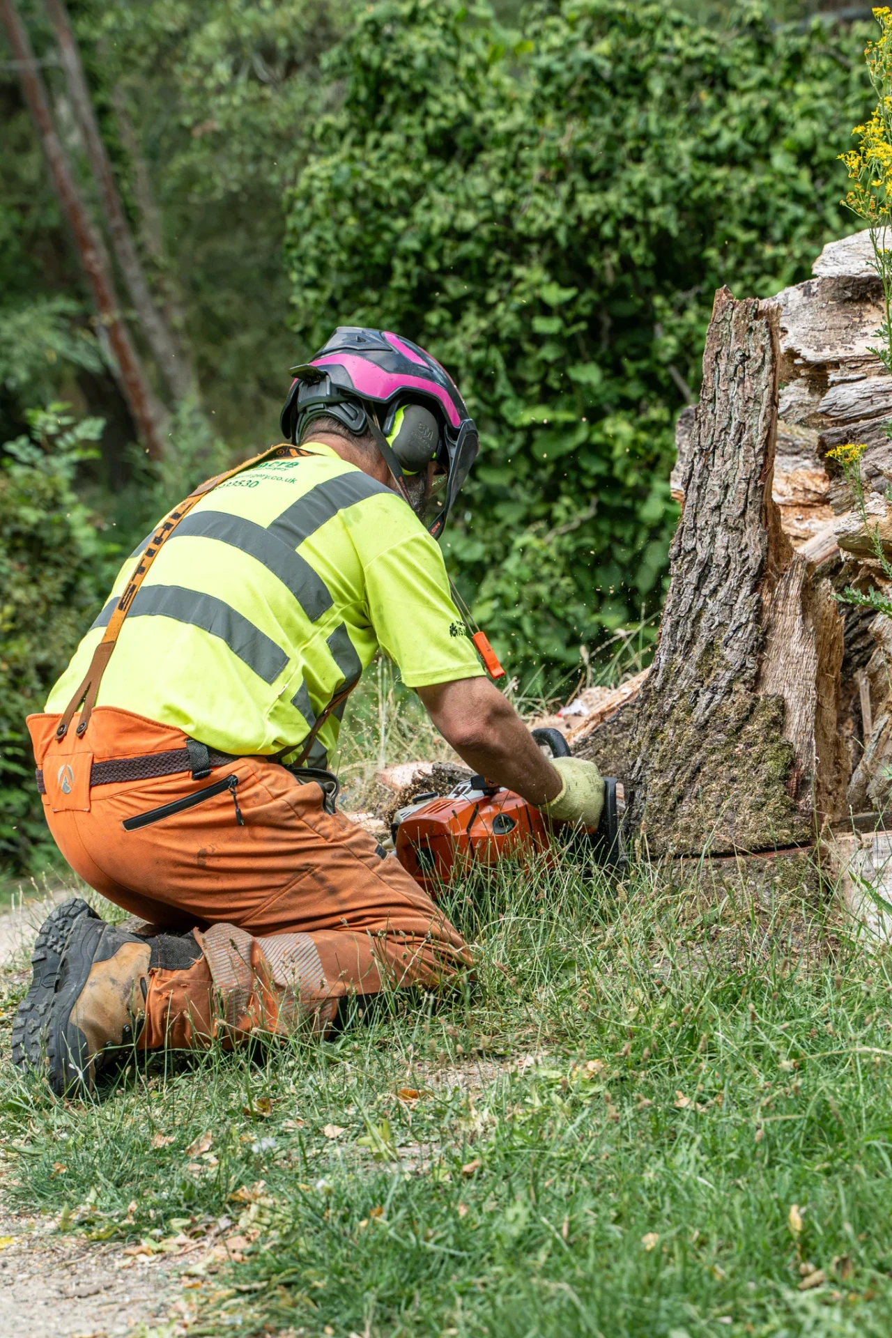 Stump Grinding & Garden Reclaim