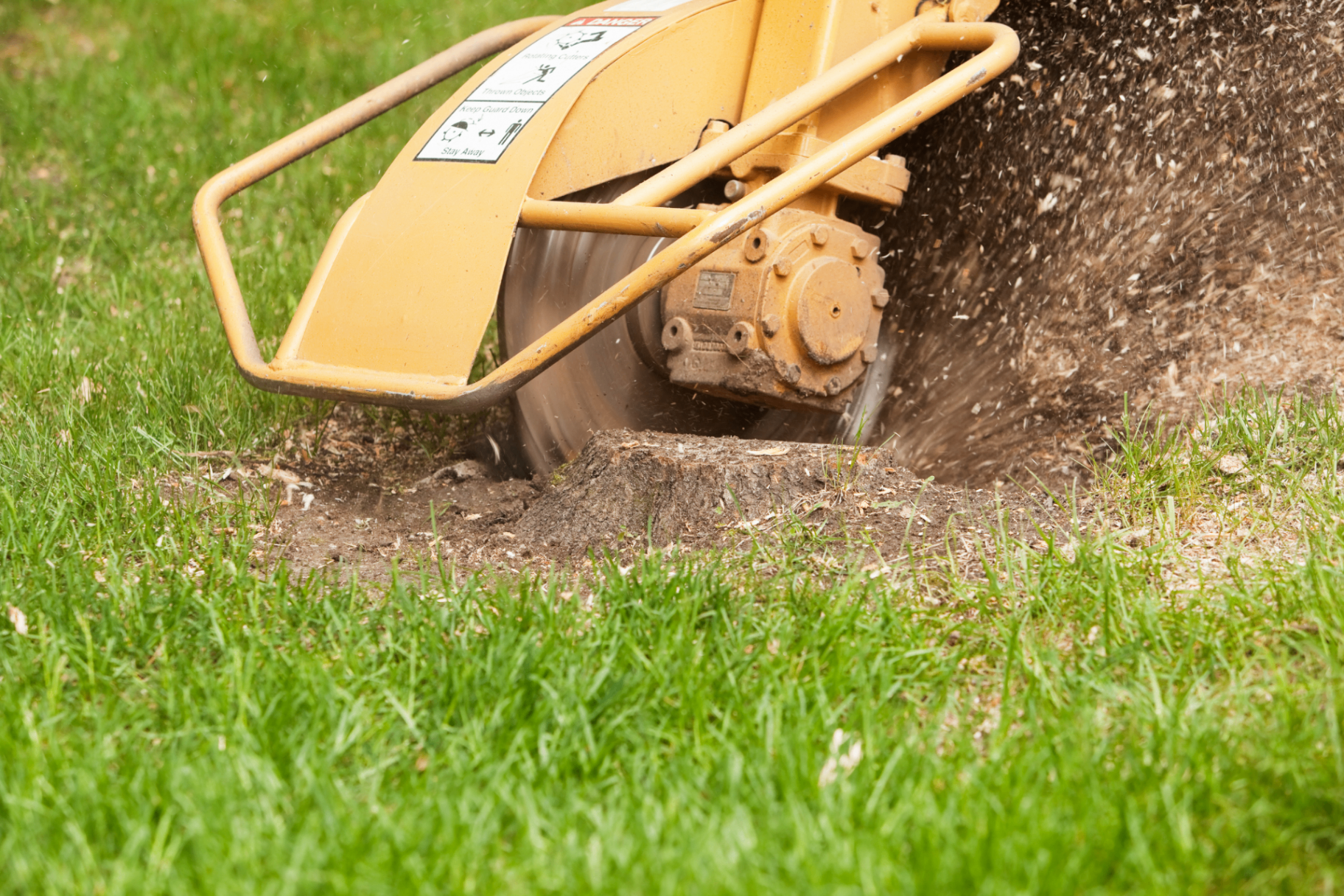 Stump Grinding
